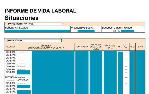 Ejemplo de informe de Vida laboral