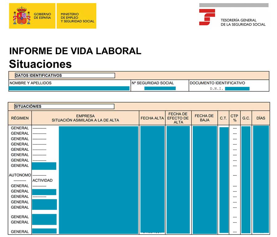 Pdf de la Vida Laboral